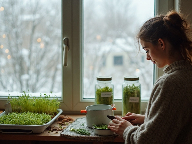Какой овощ быстрее всего растёт: самые скороспелые культуры и сроки
