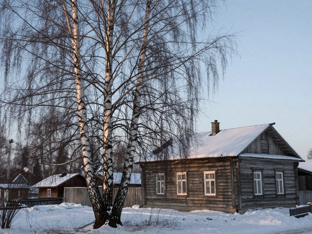 Какие деревья можно сажать возле дома по фен шуй: практичные советы для русского климата