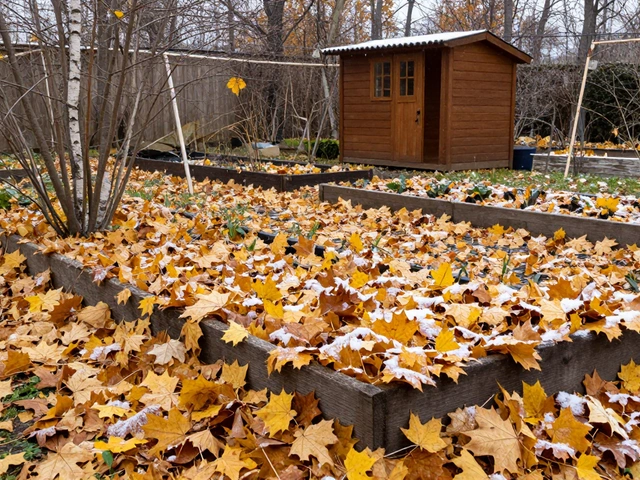 Чем накрыть грядки на зиму: лучшие материалы и способы защиты огорода от морозов